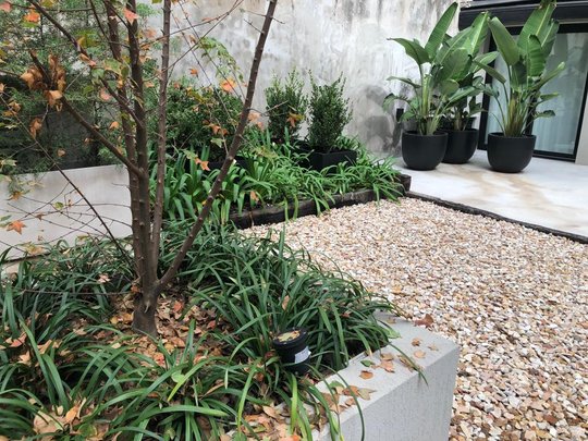 Foto del proyecto